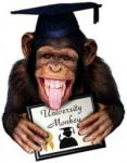 1uni monkey.jpg